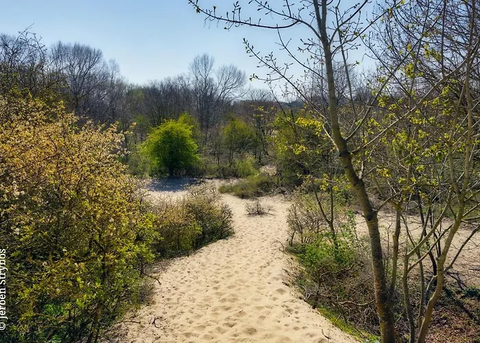 Apartman Flat Marthe